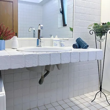 Cate أمارنثوس